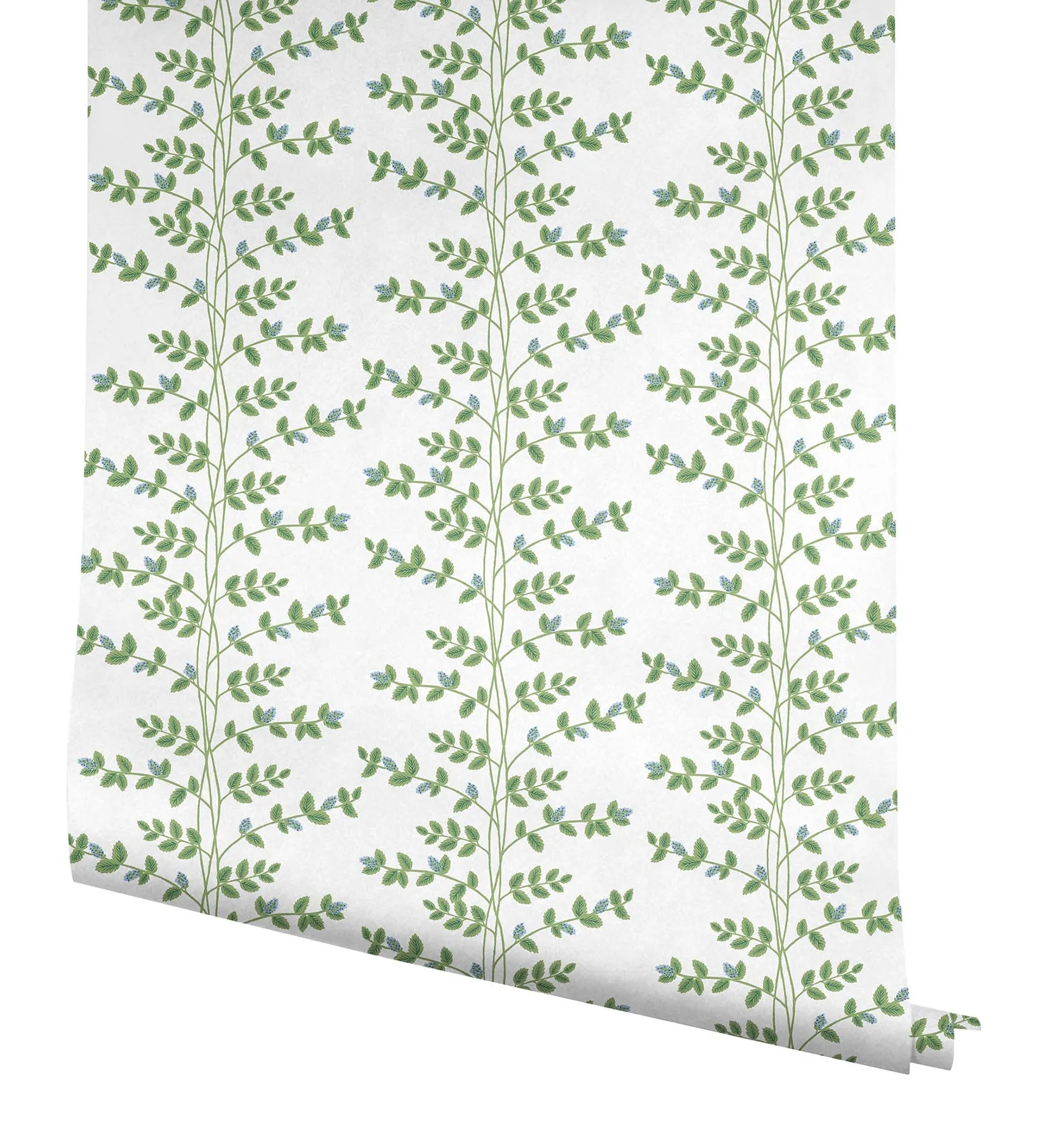 Climbing Vine Wallpaper