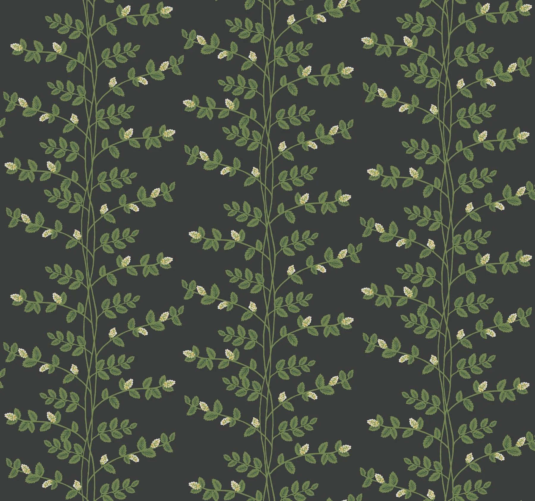 Climbing Vine Wallpaper