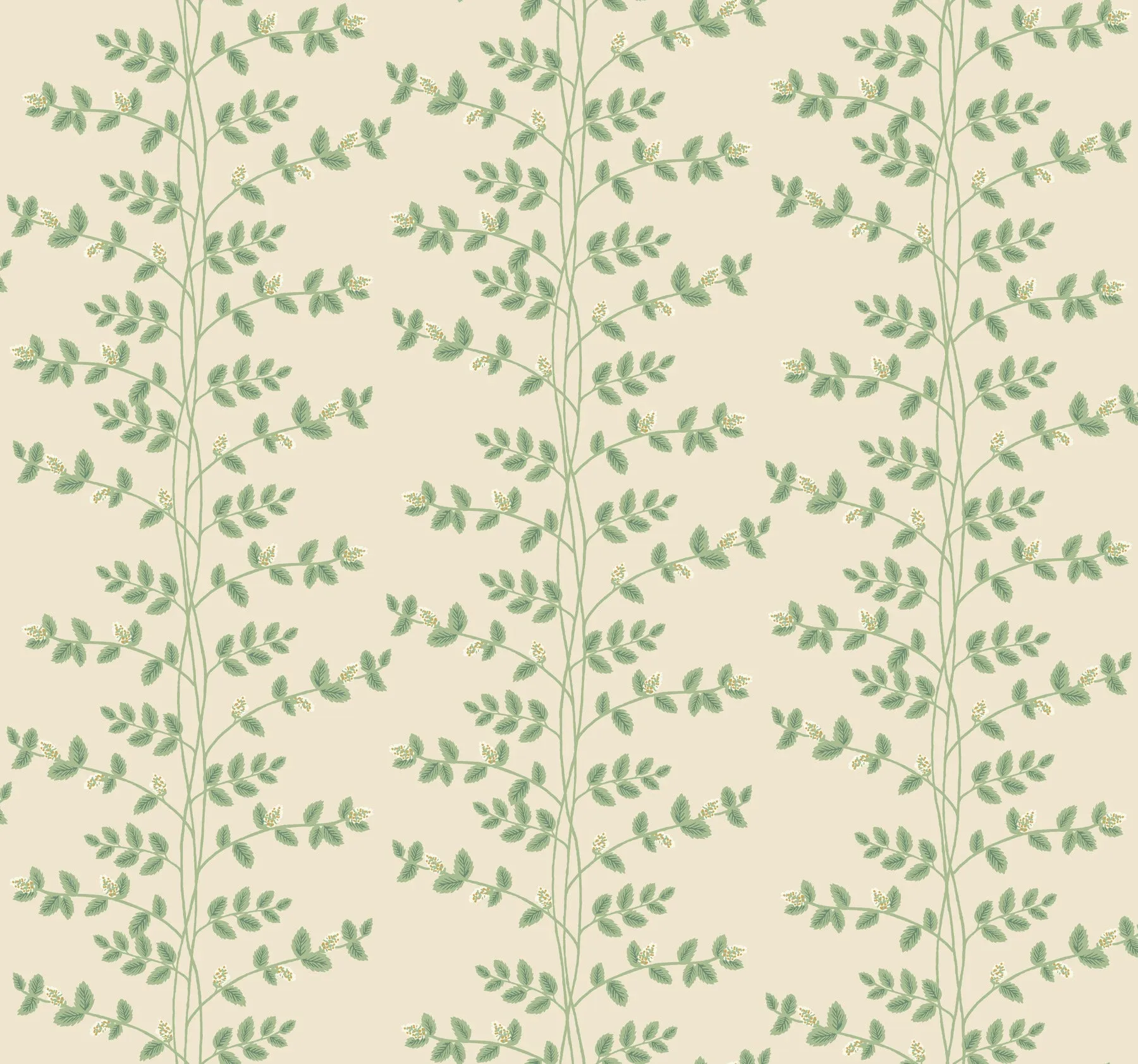 Climbing Vine Wallpaper