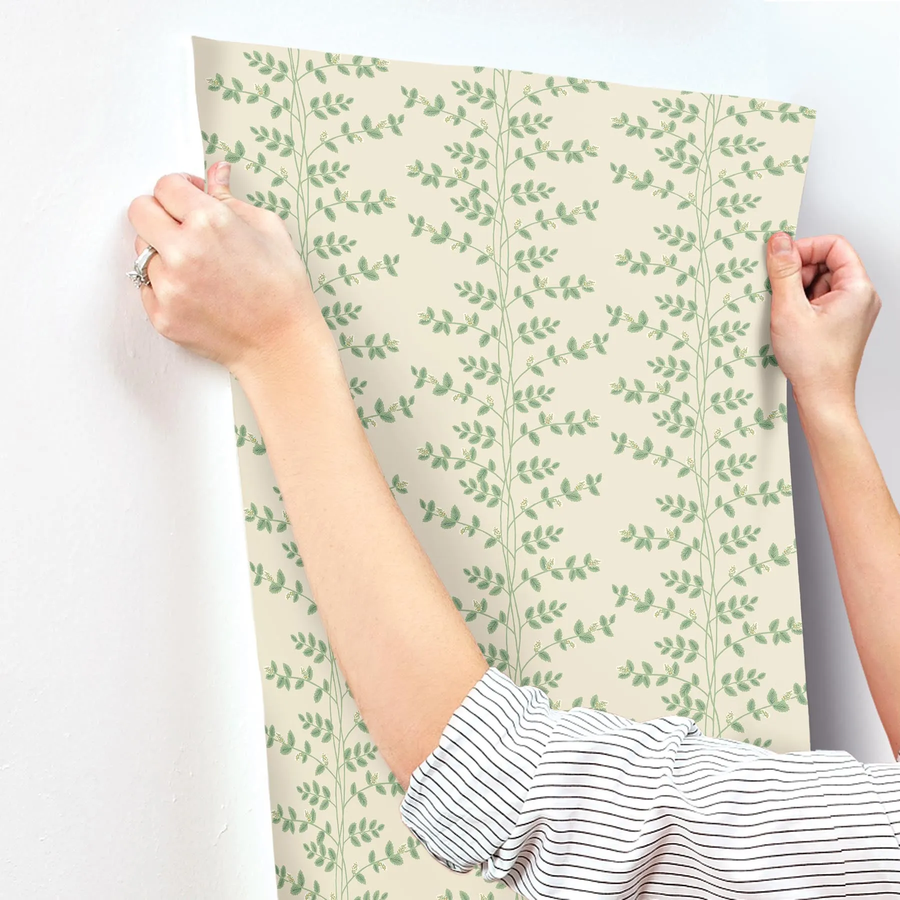Climbing Vine Wallpaper