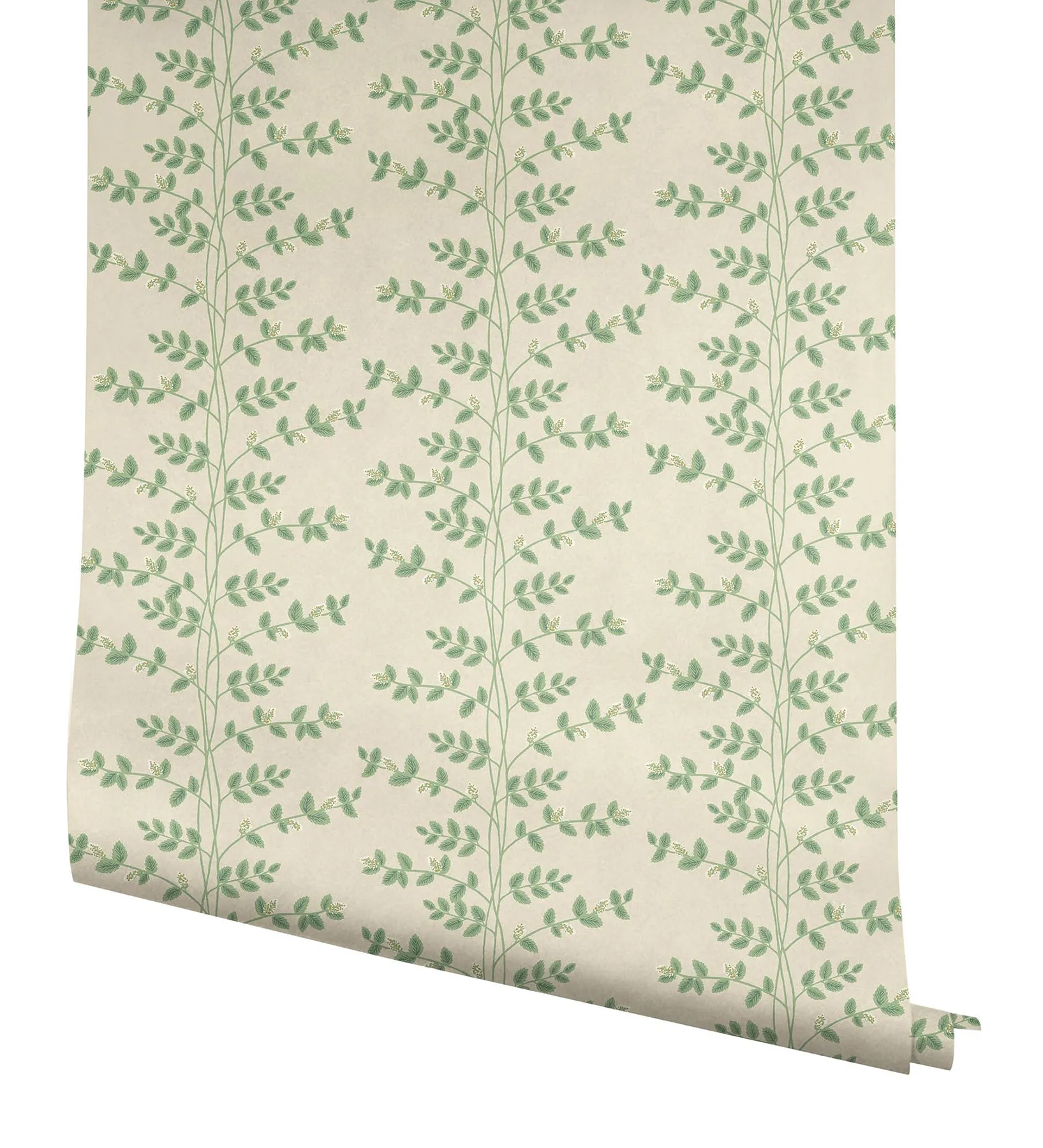 Climbing Vine Wallpaper