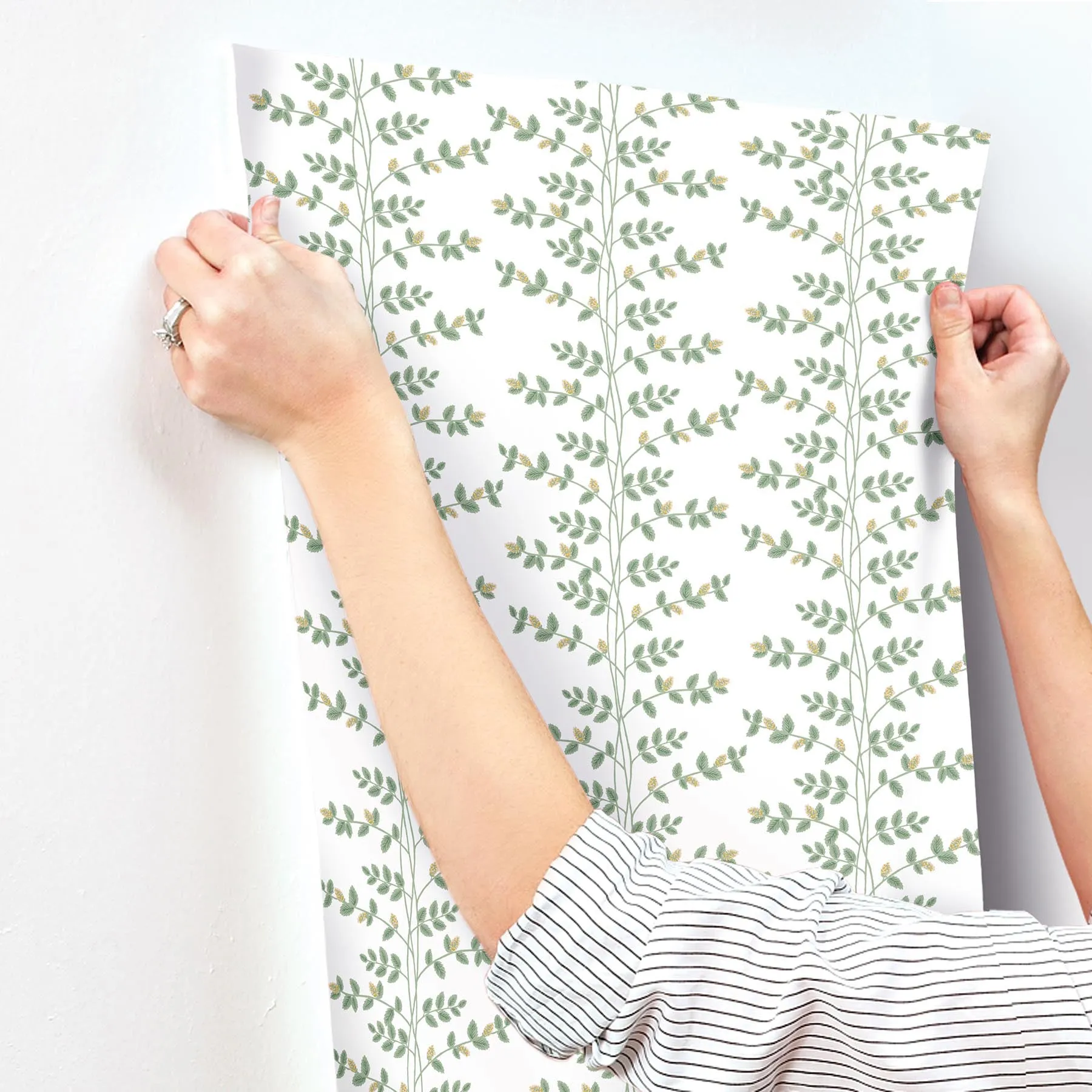 Climbing Vine Wallpaper