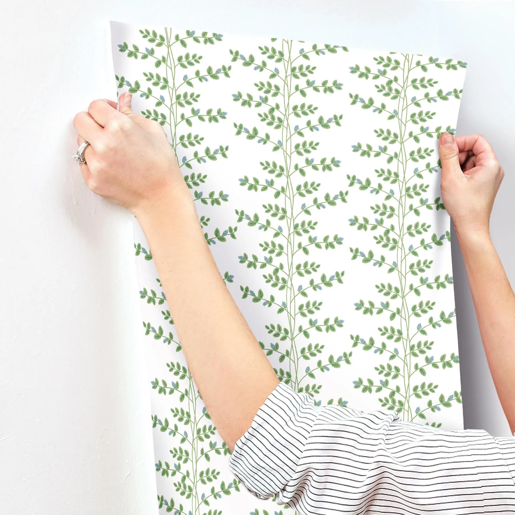 Climbing Vine Wallpaper