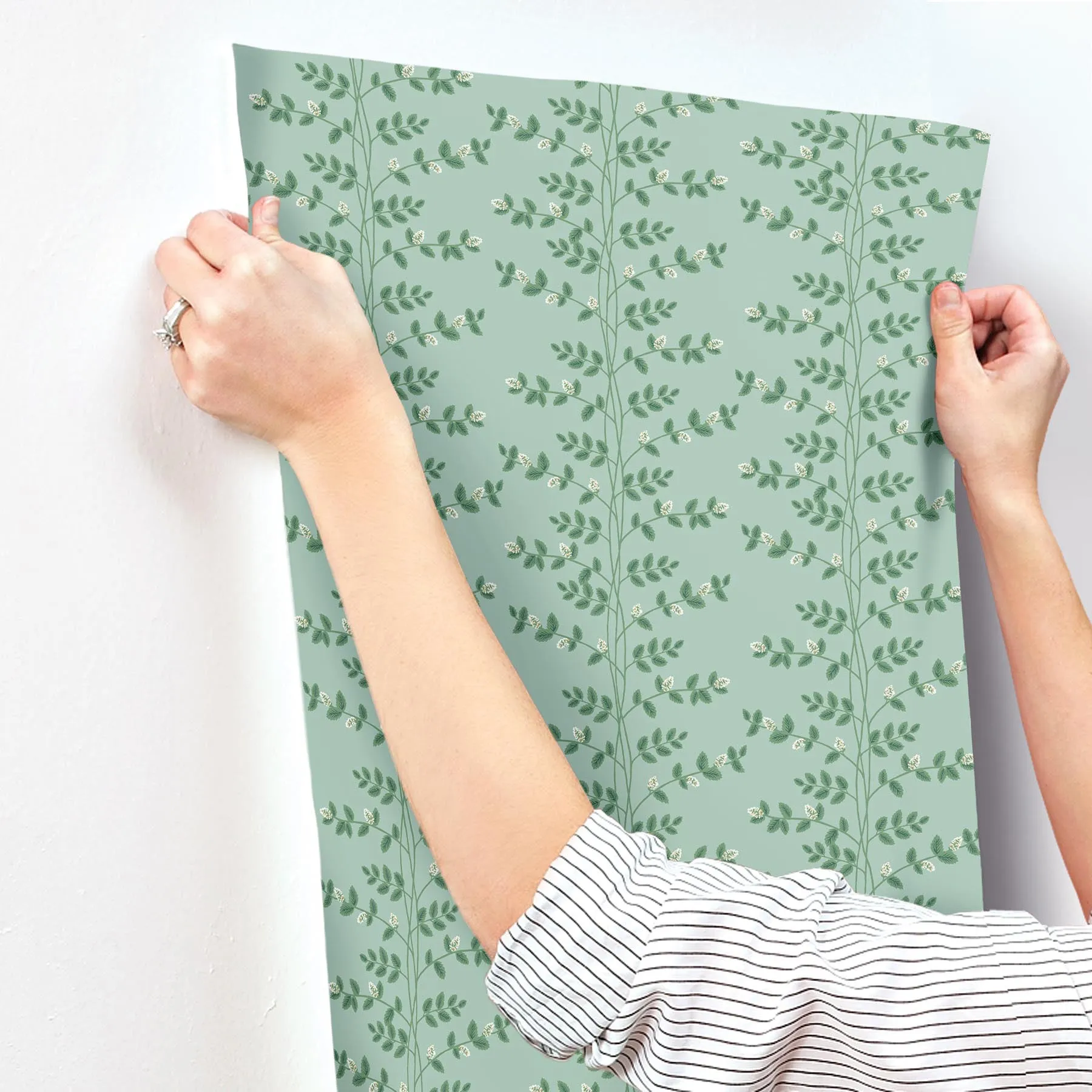 Climbing Vine Wallpaper