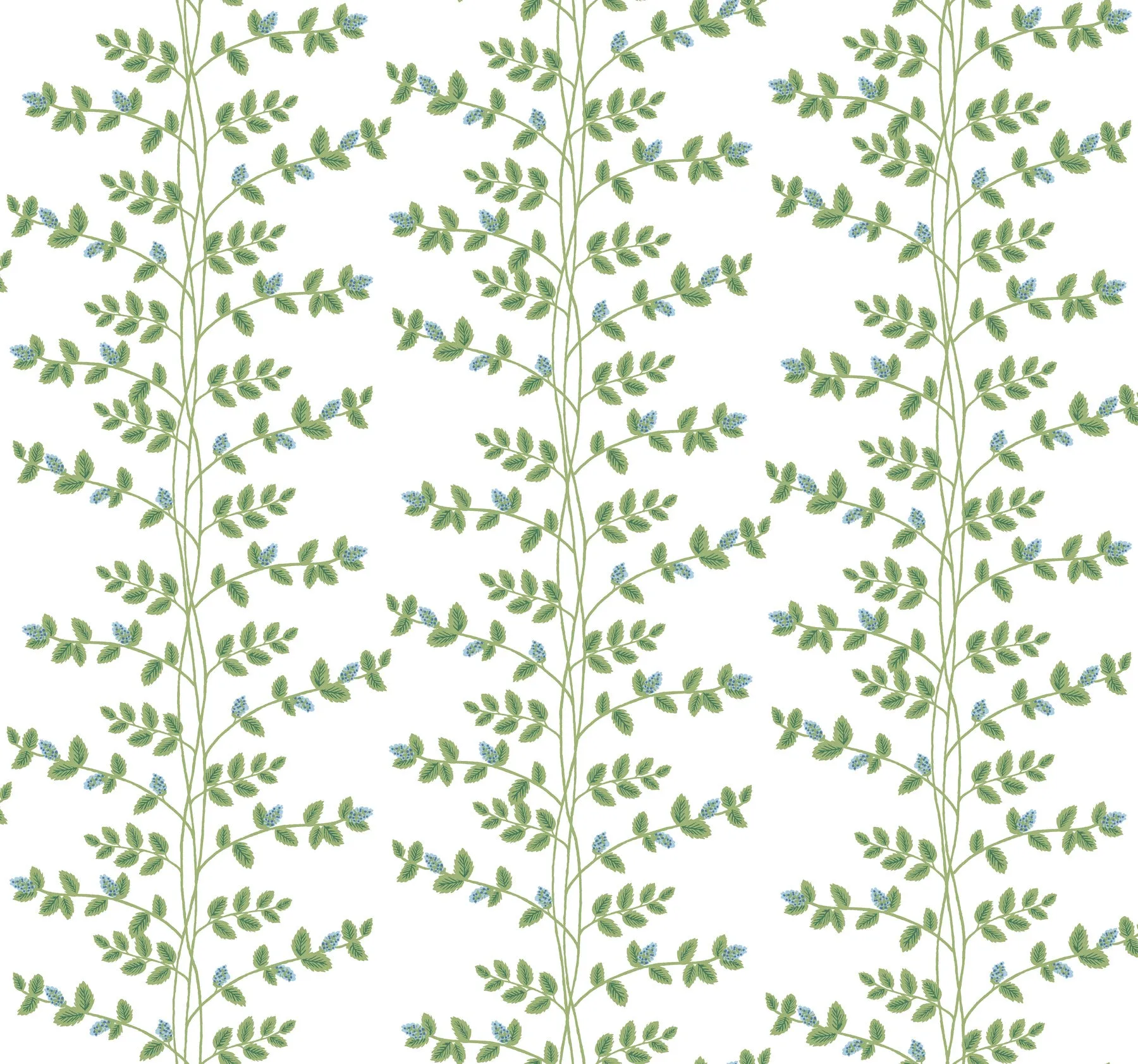 Climbing Vine Wallpaper