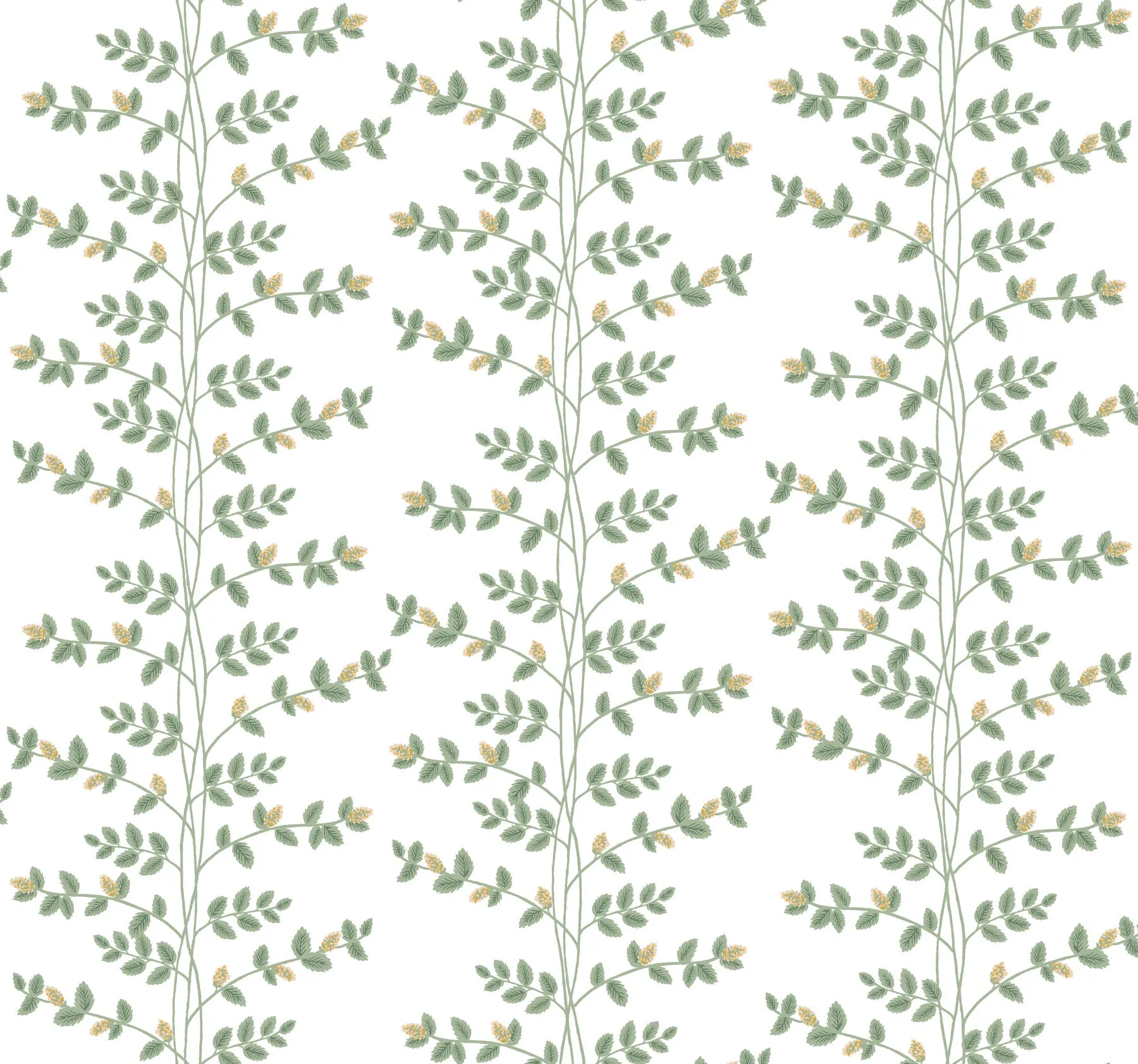 Climbing Vine Wallpaper
