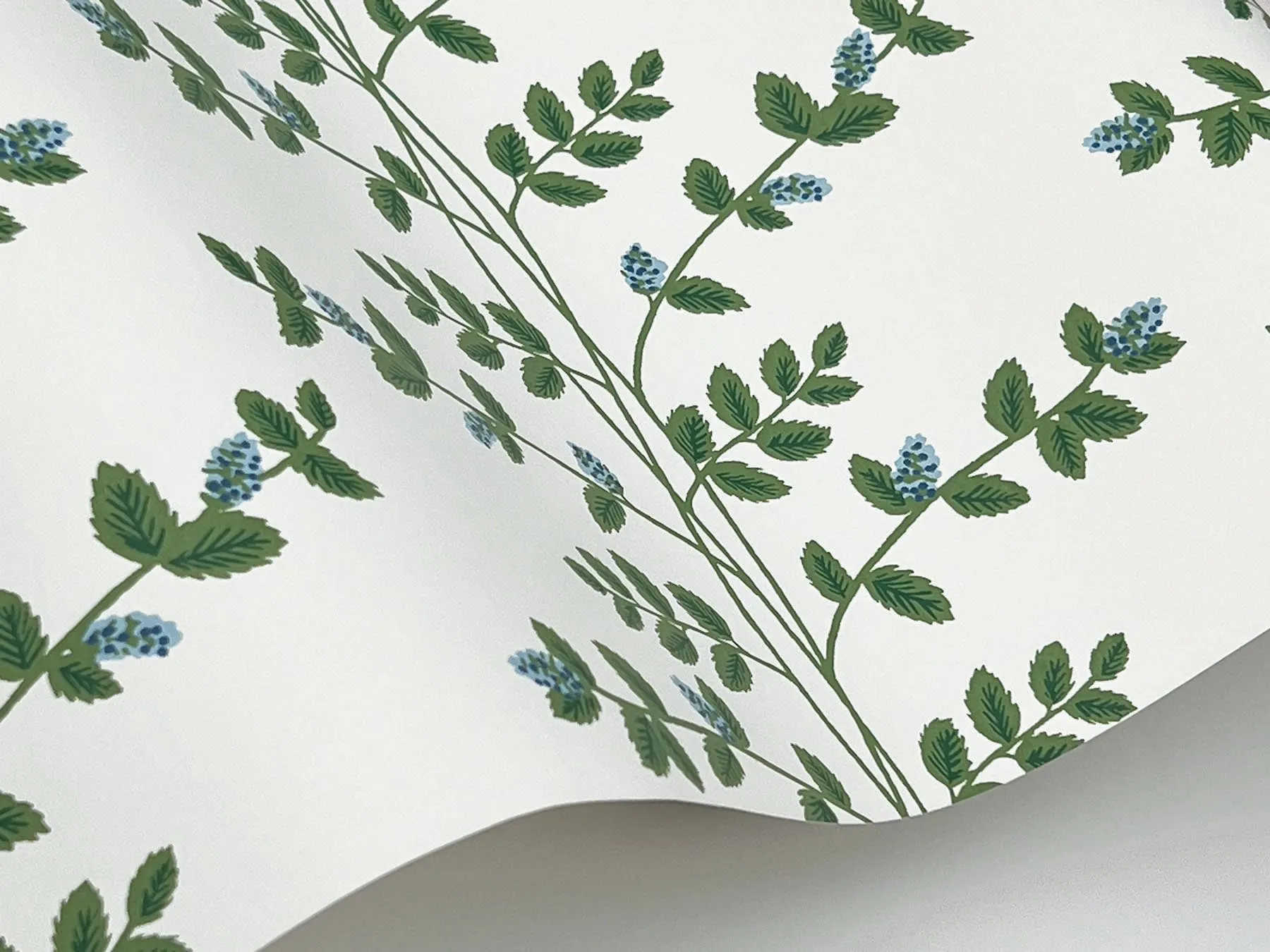 Climbing Vine Wallpaper