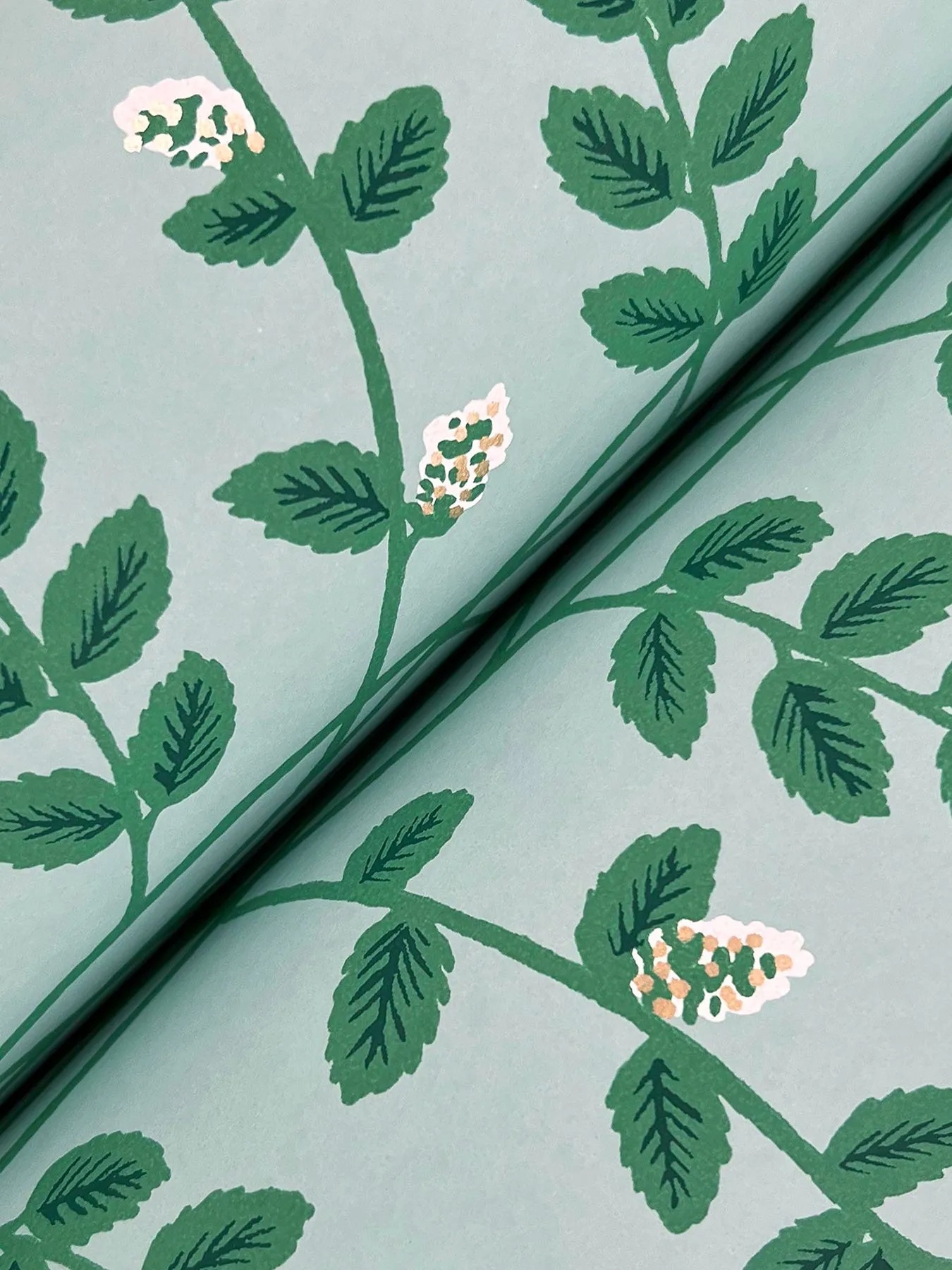 Climbing Vine Wallpaper