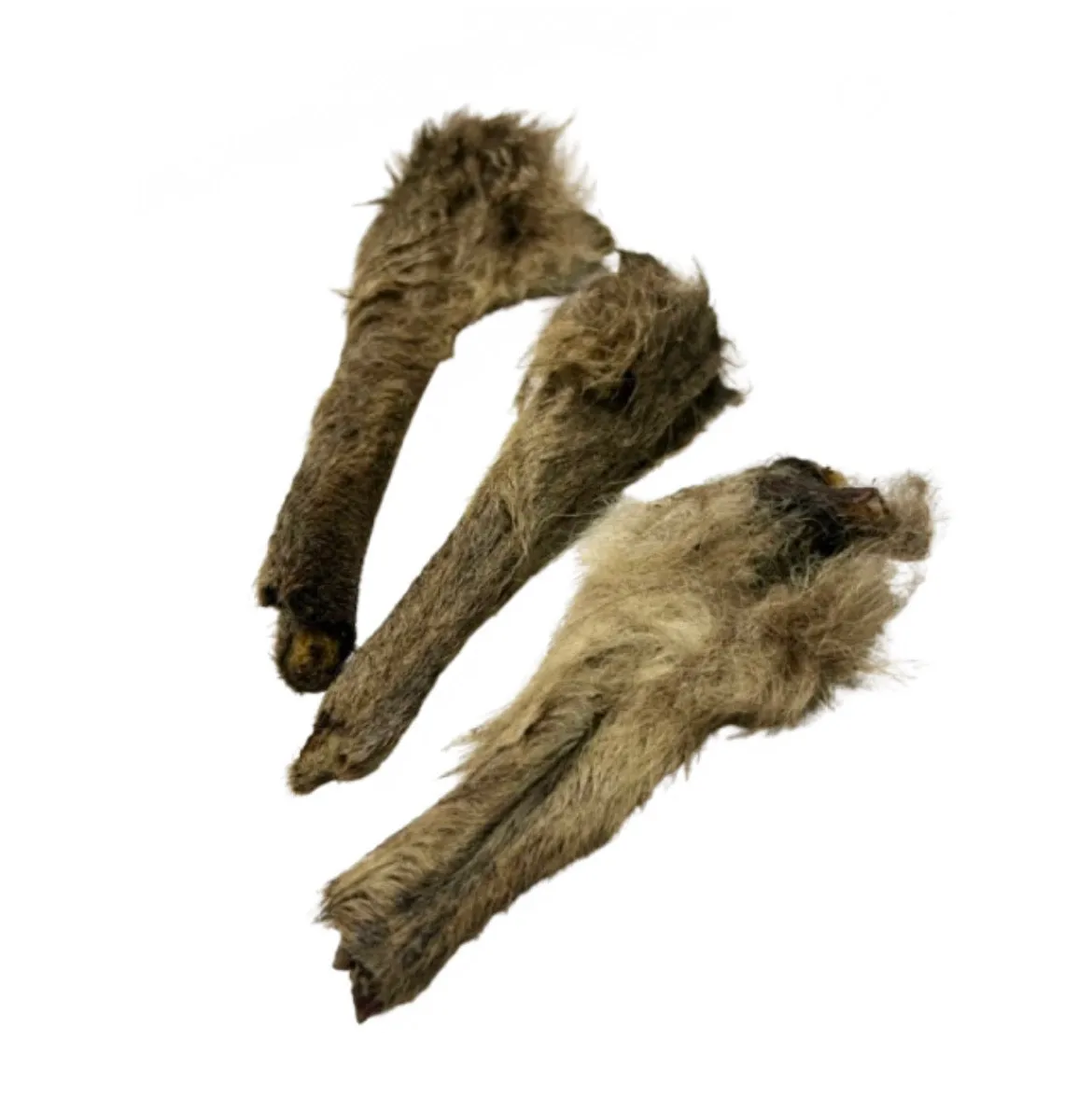 Kangaroo Forearm 2 pack