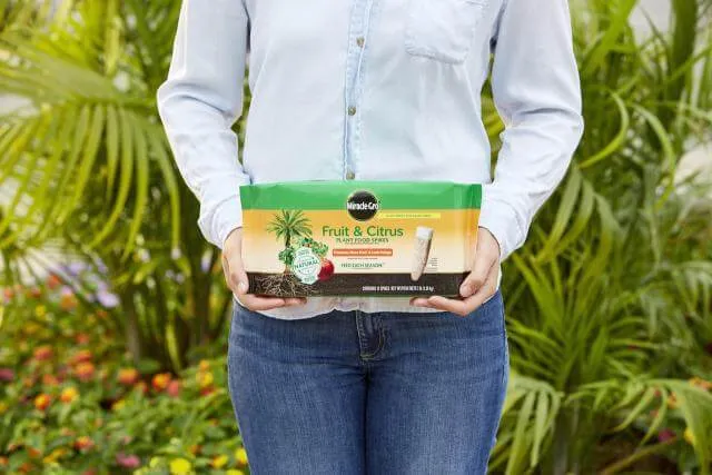 Miracle-Gro® Fruit & Citrus Plant Food Spikes (3 lbs)